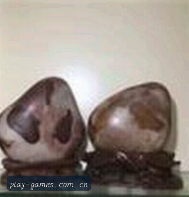 孙姐